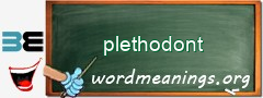 WordMeaning blackboard for plethodont